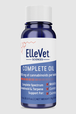 ElleVet Hemp CBD+CBDA Oil for Dogs, 15 Milliliters