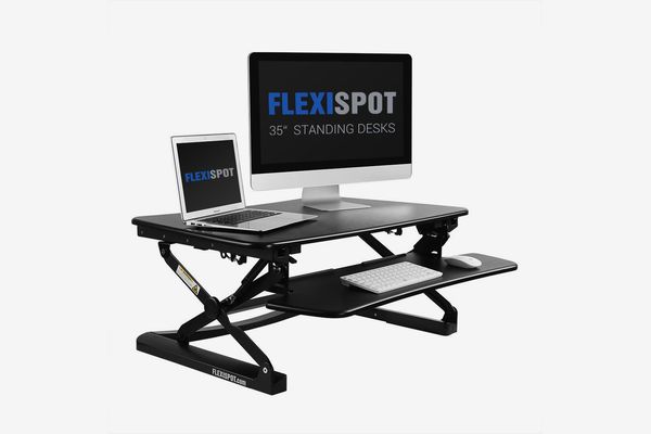 FlexiSpot Stand Up Desk