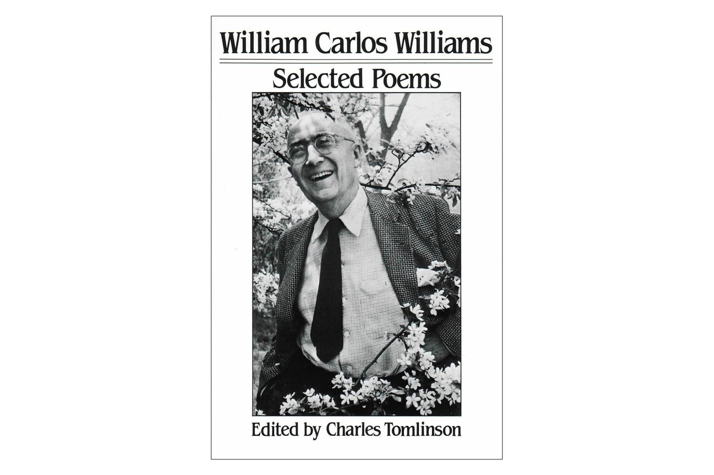 Claritas : William Carlos Williams' Epiphanies