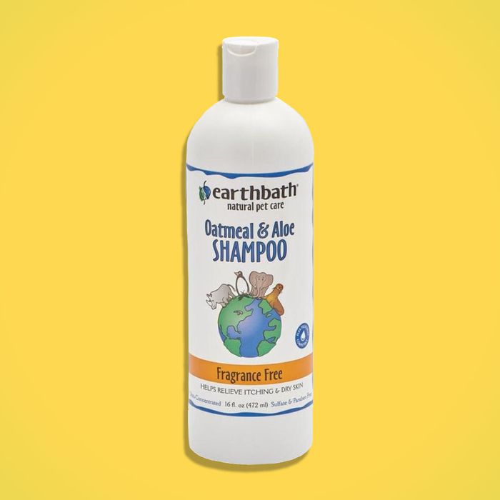 Earthbath Oatmeal & Aloe Shampoo for & Review 2020 | The