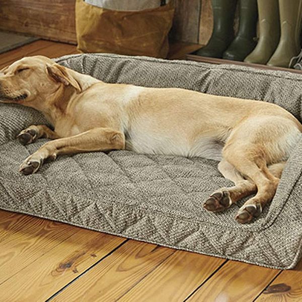 casper dog bed cover