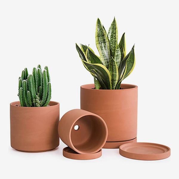 D'vine Dev Terracotta Pots for Plants with Drainage and Saucer