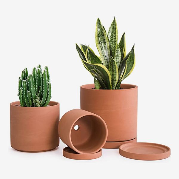 Plastic Planter Pots for Plants, 5 Pack 6 Inch Flower Pots with Drainage  Holes and Saucers, for Indoor Outdoor B 