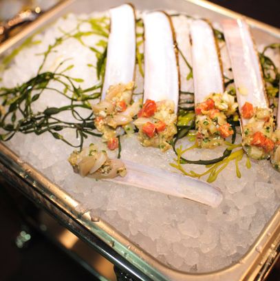 剃须刀clams from Costata.