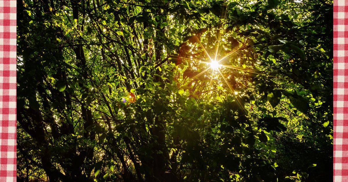 Five Amazing Desserts That Won’t Melt in the Sun