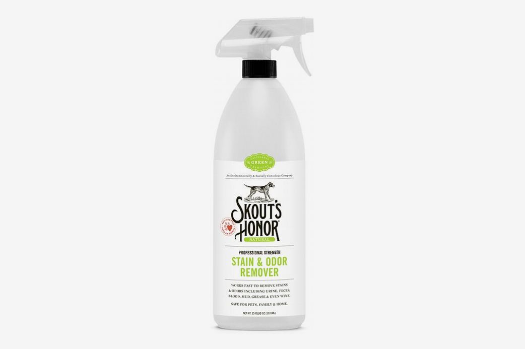 36 Best Pet-Safe Cleaning Products for Pet Messes 2021