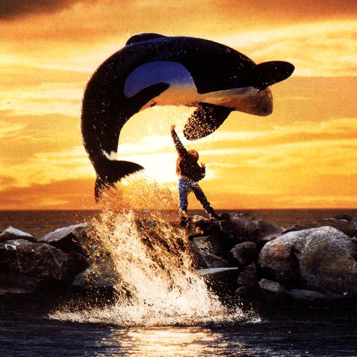 Free Willy The Whale Free Willy The Whale