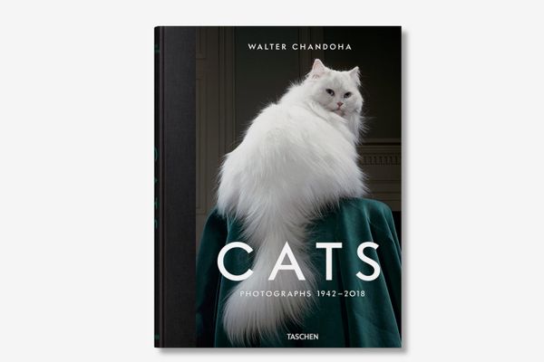 Walter Chandoha. Cats. Photographs 1942–2018