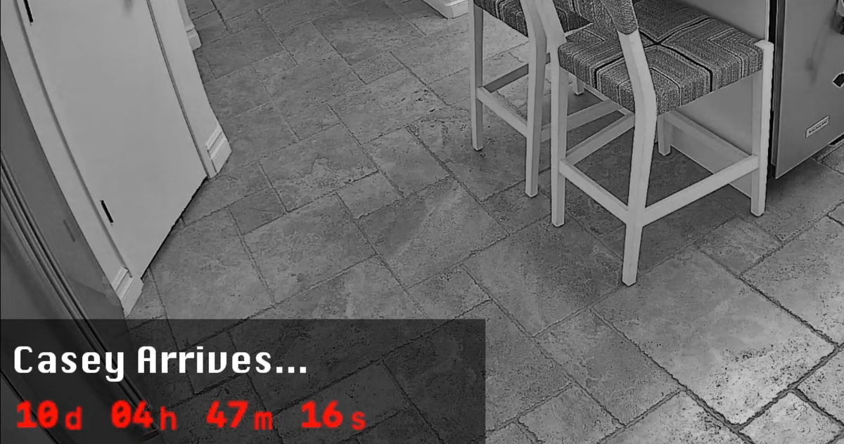 Are You Doing Your Part to Keep Casey Wilson's Home Rat Free?