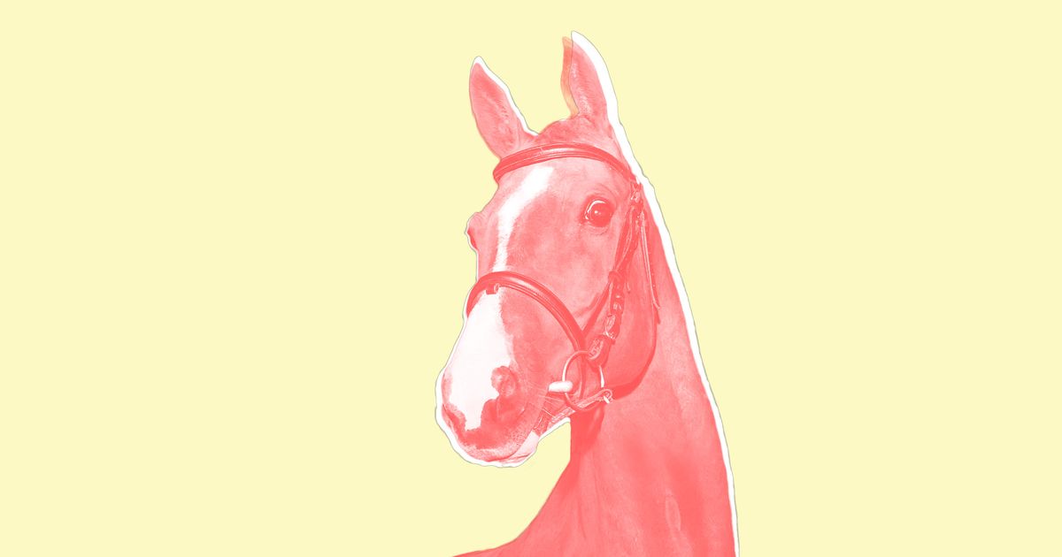 A Man Named Horse Porn - What It's Like to Date a Horse