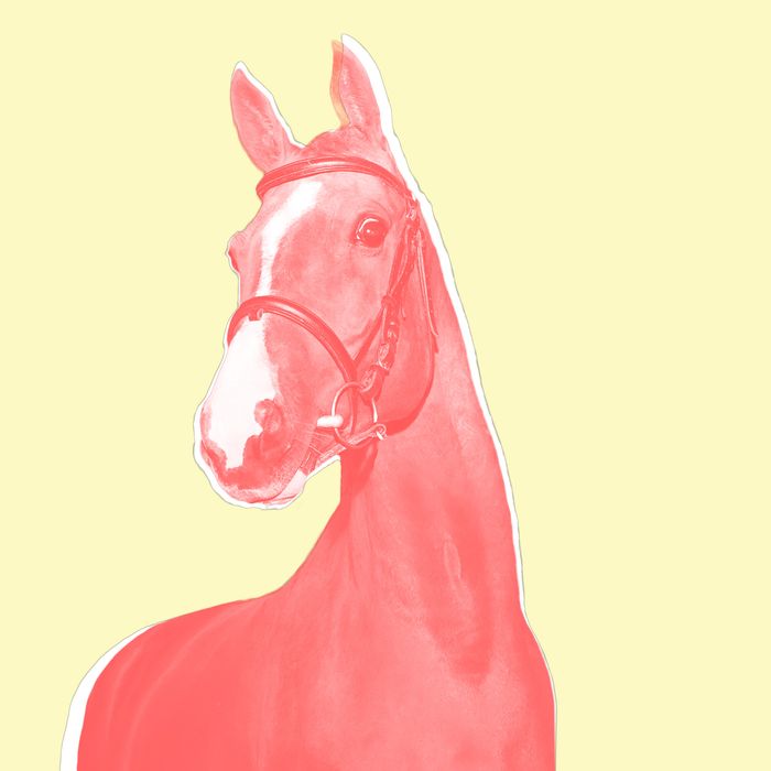 Porn on horse in Washington