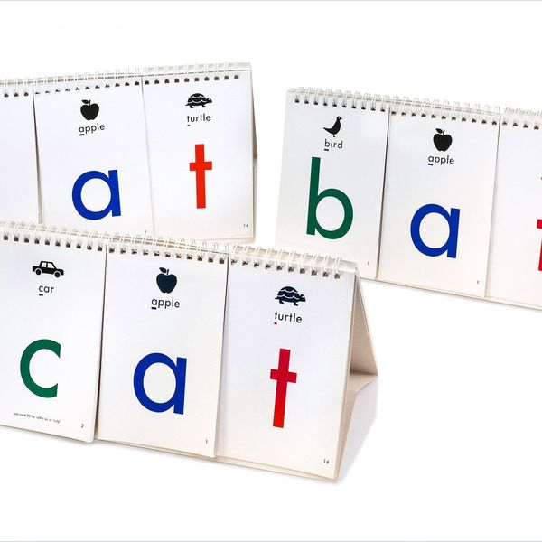 CVC Words and Syllables Flip Book