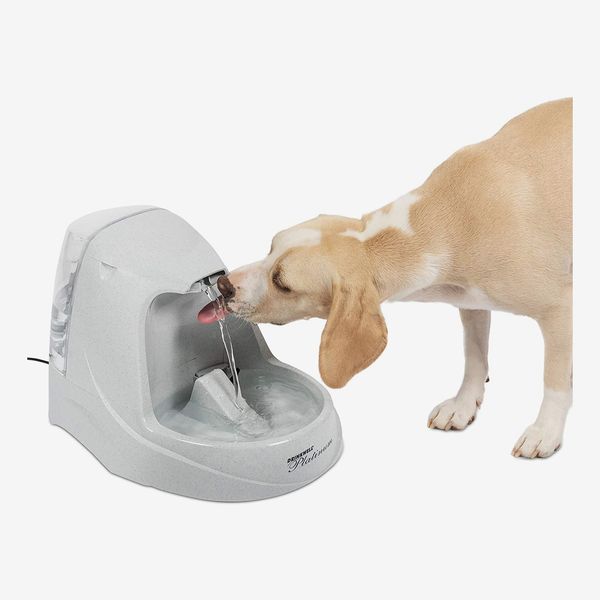 PetSafe Drinkwell Cat and Dog Water Fountain