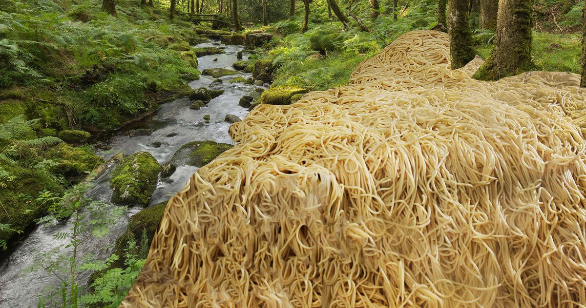 How Did 300 Pounds of Pasta End Up in the Woods? TrendRadars