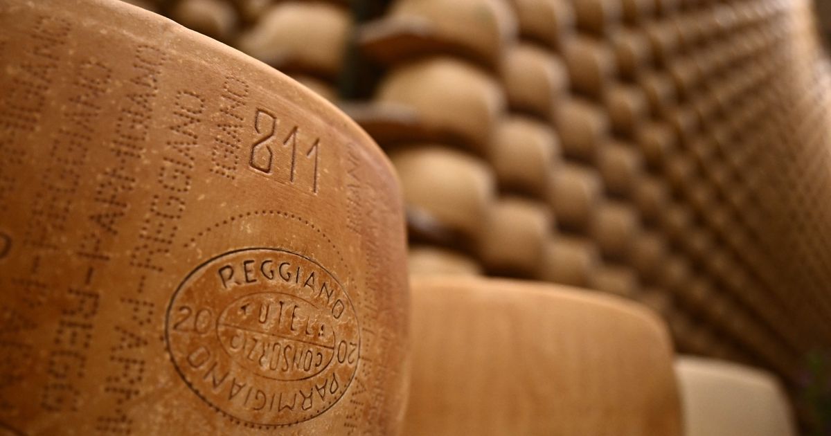 Beloved Cheese Parmigiano Reggiano Signs With UTA