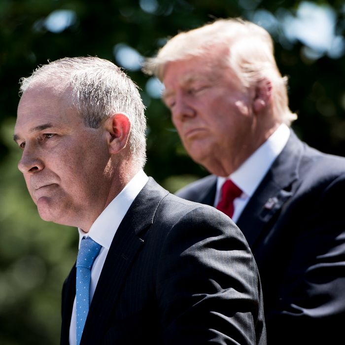 There's No Happier Person in America Right Now Than Scott Pruitt