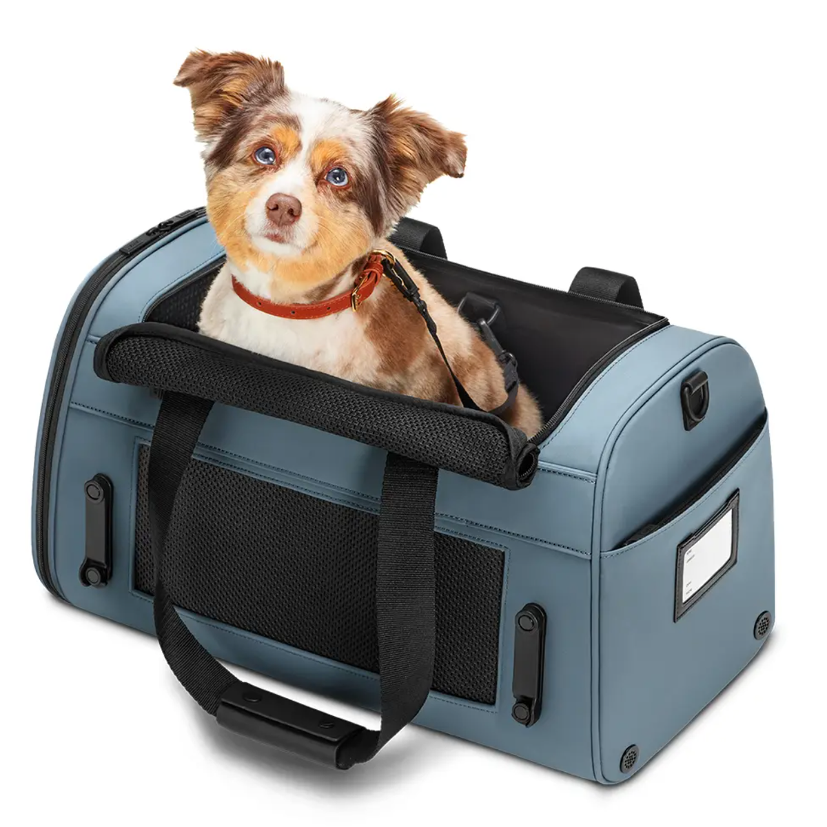 Best Airline-Approved Pet Carriers 