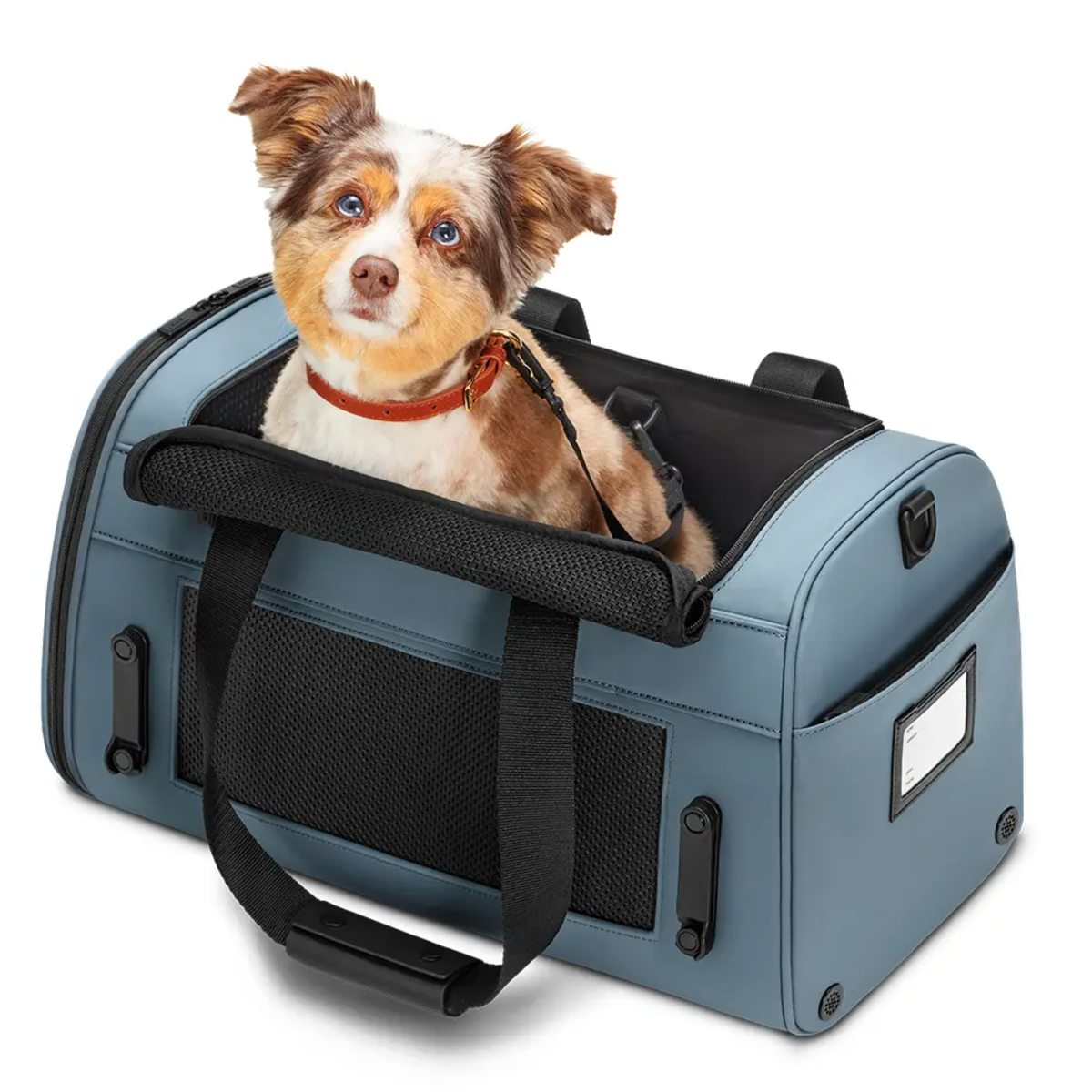 How Much Is A Dog Carrier