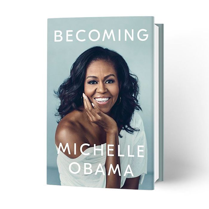 Michelle Obama's memoir cover, Becoming.
