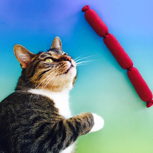 Housecat Club Catnip Sausage Rope Cat Toy