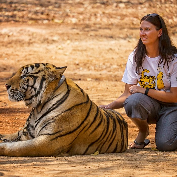 Era Of Dudes Posing With Tigers On Tinder Comes To Tragic End