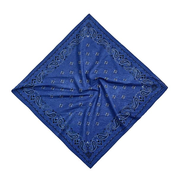 Aaron Levine x Zara Paisley Print Bandanna