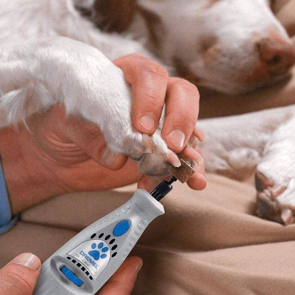 Estética canina en casa - Herramienta de limpieza de uñas inalámbrica para perros Dremel
