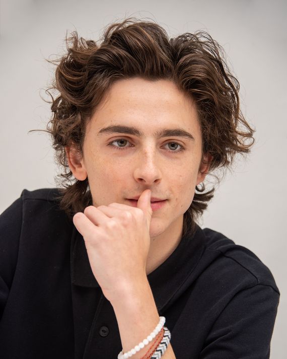 15 Very Good Photos of Timothée Chalamet’s Very Good Hair