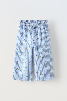 Zara Striped and Floral Poplin Pants