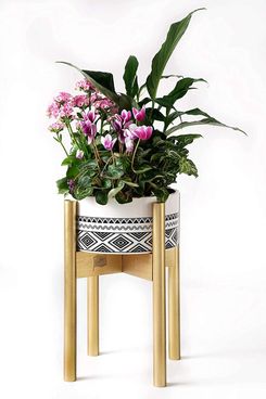 ZPIRATES Plant Stand for Indoor Plants