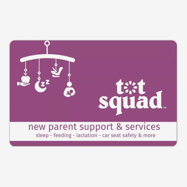 Tot Squad New Parent Support & Services (20-30min Live Video Consultation)
