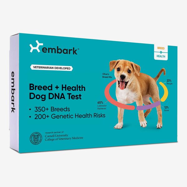 Embark Breed Identification & Health Condition Identification DNA Test for Dogs