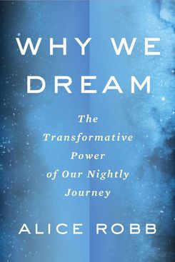 Why We Dream, by Alice Robb