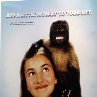 I mean, this looks cute and all, but after the one with the ferret, I am very worried about where that monkey may have come from and what she's doing with it.