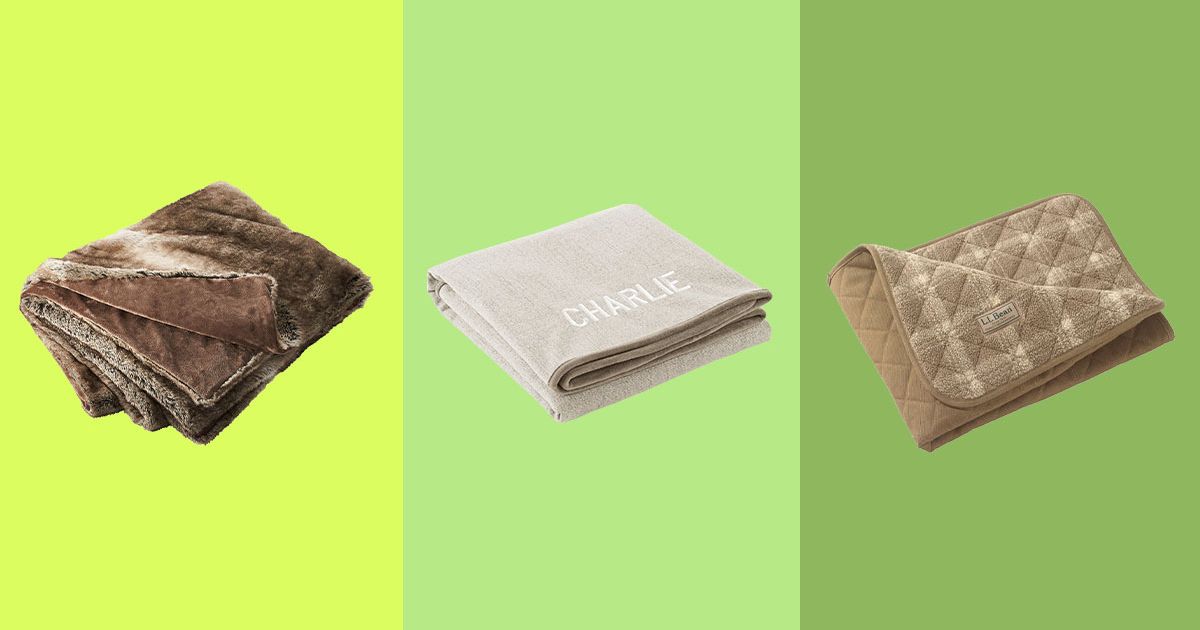 This Lightweight Microfiber Fleece Blanket Is Only $14