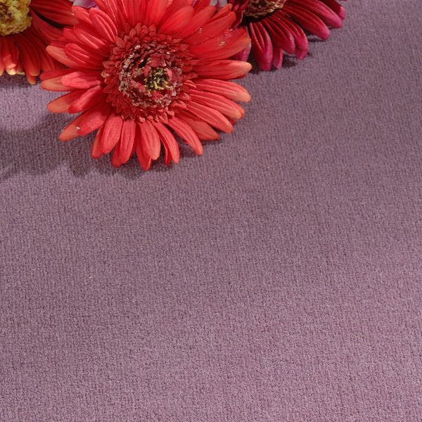 Radici USA Abetone Carpet