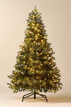 CB2 Faux Noble Fir Pre-Lit LED Christmas Tree with Warm White Lights, 7.5 ft