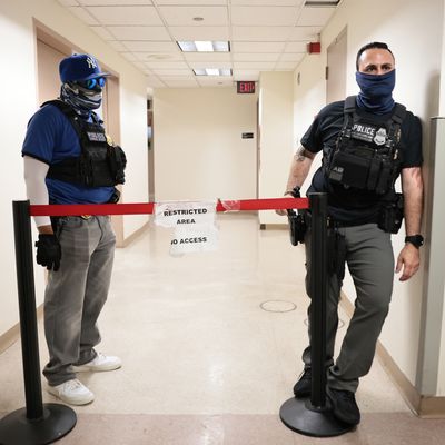 ICE Detains Immigrants Inside New York City Courthouses