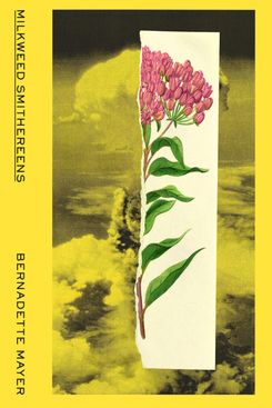 Milkweed Smithereens by Bernadette Mayer