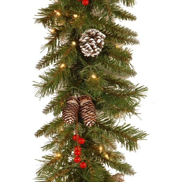 National Tree Company Pre-Lit Artificial Christmas Garland, 9 Feet