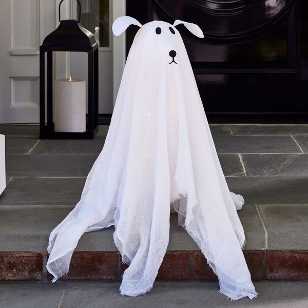 Pottery Barn Lit Ghost Dog