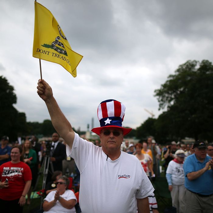 Al Teague of Myrtle Beach, SC. holds a flag while attending a Tea Party rally in front of the U.S. Capitol, June 17, 2013 in Washington, DC. The group Tea Party Patriots hosted the rally to protest against the Internal Revenue Service's targeting Tea Party and grassroots organizations for harassment. 