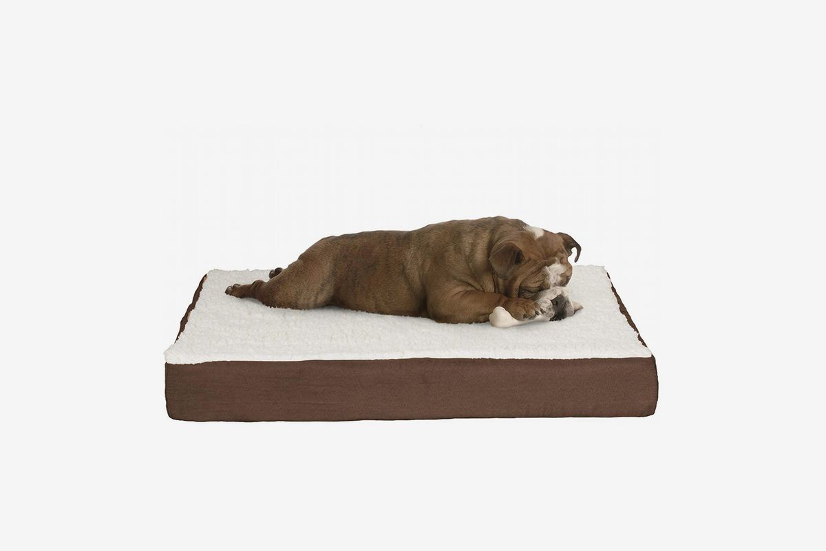 17 Best Dog Beds 2020 The Strategist New York Magazine 17 Best Dog Beds 2020 The Strategist