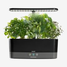 Goodful by AeroGarden Harvest Slim Countertop Garden & Gourmet Herbs Seed Kit