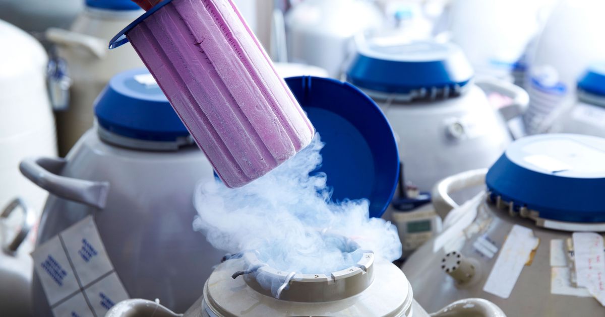 Women Are Now Freezing Their Eggs in Their Mid20s