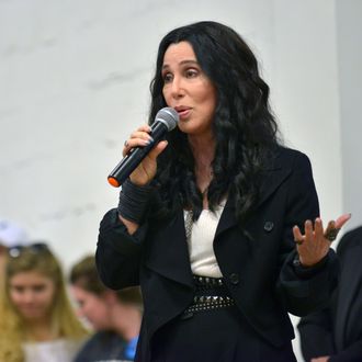 Cher Campaigns For Hillary Clinton