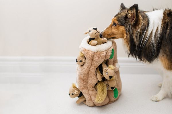 Outward Hound Hide-A-Squirrel and Puzzle Plush