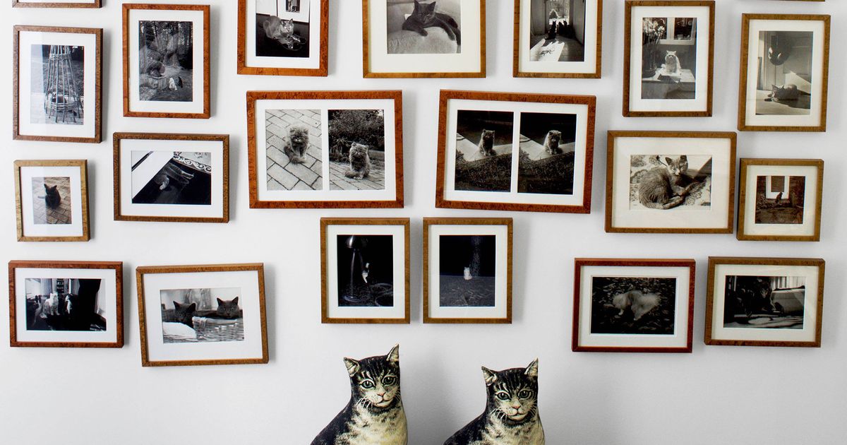Grace Coddington's Hamptons Cat Wall Is the Best Thing Ever