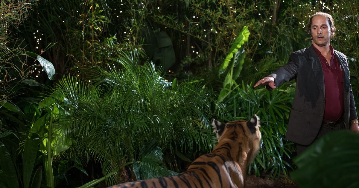 Matthew McConaughey Touched a Tiger and Told Vulture All About It