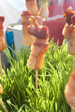 李·安妮·王，摩西基金农场